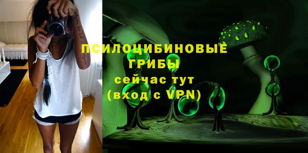 круглые Богородицк