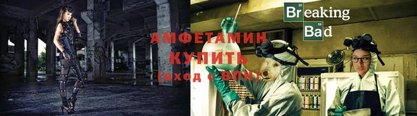 каннабис Богданович
