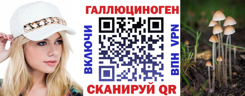 закладка  Тотьма  Галлюциногенные грибы Psilocybe 